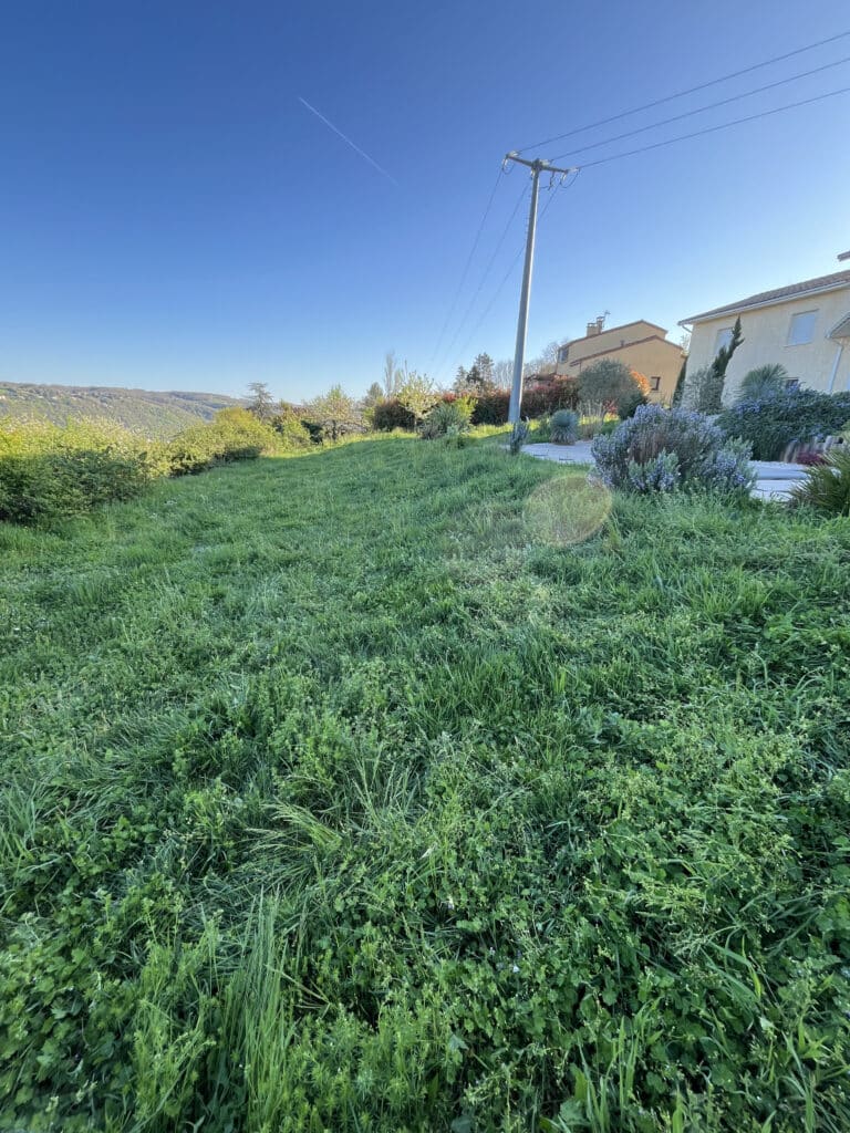 Jardin avec pelouse sauvage, maisons provençales et poteau électrique sous un ciel bleu dégagé.